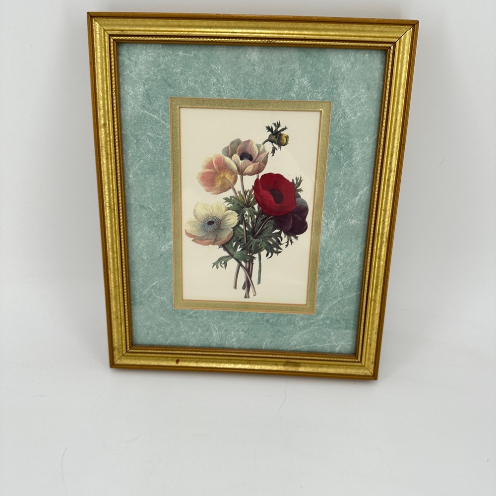 Vintage Botanical Anemone Floral Art Print Gold Frame Green Matting